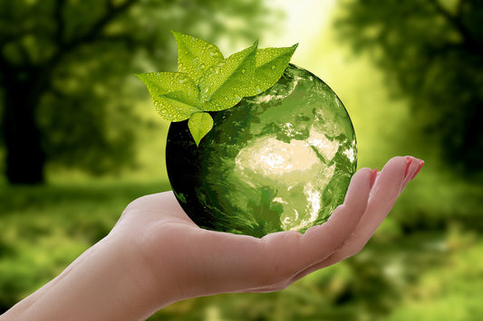 Ways to impart the importance of sustainability to the younger generation