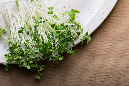 Broccoli Microgreens