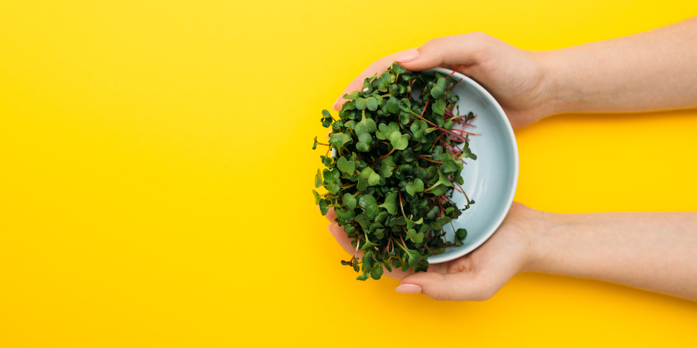 Microgreens Subscription